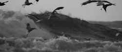 rooahy:  . … * ﯾﺎ ﻣن ﯾراني على ذنبي فـ