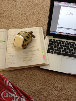 moriiahh:  Harold likes to help me with my homework. And yes