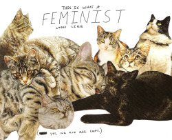I thought the feminist was buried beneath the cats because, you