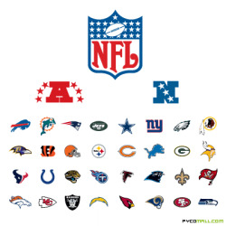 The regular season of the NFL is almost over, with only a few