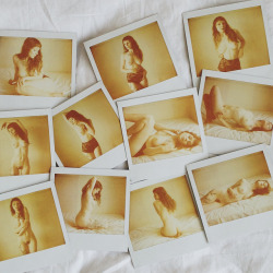 Neat! finchdown:  Non-Instagramable softtone polaroid shots from