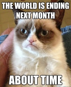 Grumpy Cat must have Mayan ancestry  ;)