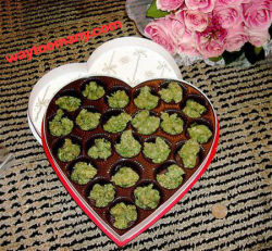 ladyloka13:  A guy that would give you this ♥.♥ Marry Him!