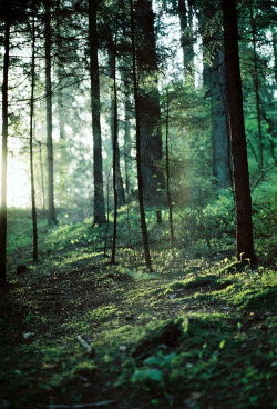oh-haroo:  Follow me for more vertical nature and landscape!