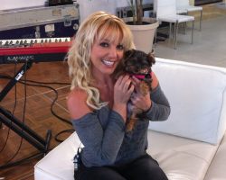 britney spears and her dog :P