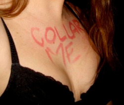 &ldquo;Collar Me&rdquo;