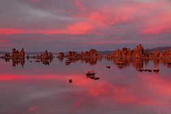 wonderous-world:  Sunset at Mono Lake by ZacharyG on Flickr.