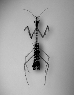 josedavidmorales:   Typography insect. Insecto tipográfico.