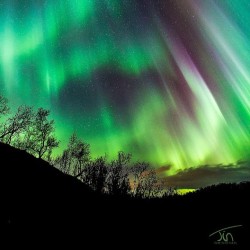 visitnorway:  _instaworld_shots__naturelover__ignaturefinest__visitnorway__I_love_norway__visitnorthernnorway__all_shoots__nordnorge__photolocker__nikon__d800__november__aurora__northernlights__awesome_by_torivarn