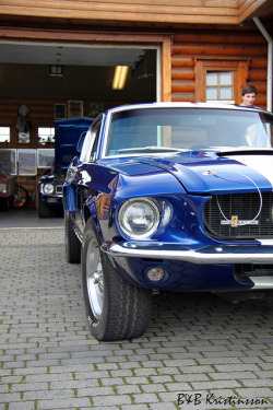ford-mustang-generation:  ´67 GT-350 Tribute by B&B Kristinsson