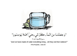 setah11:  وجعلنا-من-الماء-كل-شيء-حي on Flickr.