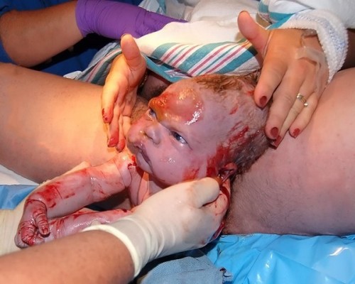 solodw:  cynicallyindecisive:  aconstructofnothingness:  titytwochainz:  “bruh if yall dont put me the fuck back in this pussy im kill everybody”  *How Chucky was born*  