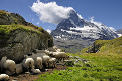 extremelywonderfulplaces:   Matterhorn, Switzerland