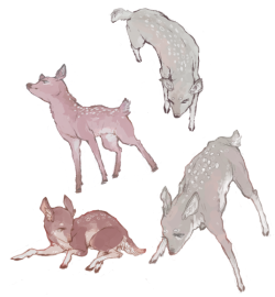 sickingfucking:  lil self indulgent deer doodles??? yes 