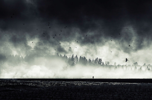 sosuperawesome:  Mikko Lagerstedt