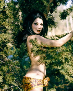 andgodcreatedwoman69:  Edwige Fenech