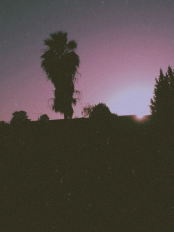 Divulge