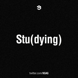 9gag:  Stu(dying)…  realidade