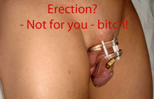 captionsofchastity.tumblr.com/post/44615499734/