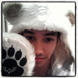 voyousloup:  Golden Polar Bear ;3 #spirithood #gift  omfg, you’re