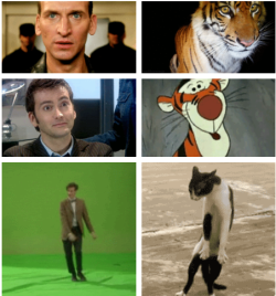 coralthegreat:  “Eccleston was a tiger and Tennant was, well,