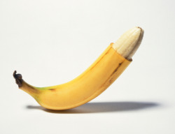 Hard Cut Dick