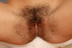 hairypussypics.tumblr.com/post/38794854233/