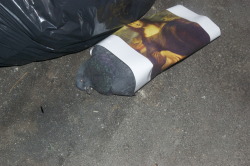 thejogging:  Dead pigeon wrapped in Mona Lisa, 2012 found object