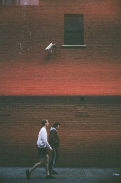 centzo:  untitled  by oldera on Flickr. 