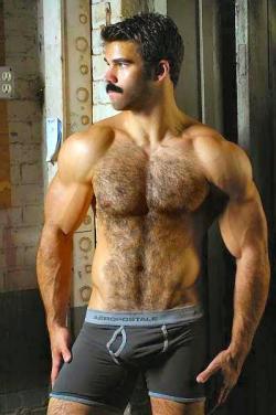 http://sambrcln.tumblr.com/archive Hairy men, hairy chest, big