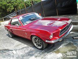 luistmz:  Red Mustang!!