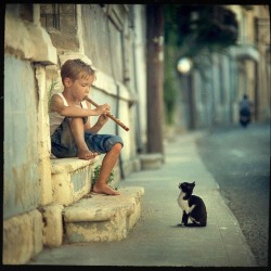 Music hath charms to soothe the savage beast &hellip; and the occasional kitten &hellip;  ;)