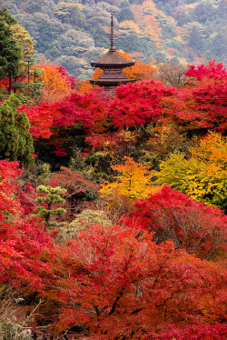 visitheworld:  Autumn colors at Kiyomizu-dera Temple in Kyoto,