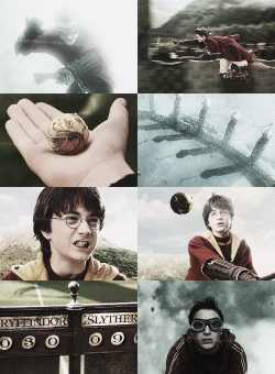 morningslight-deactivated201310:   Harry+quidditch [requested