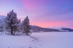 homeintheforest:  Valdresflya by Jelle Houbrechts on Flickr.