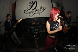 Epic pictures from local band Darling, I’m Falling ’s