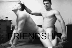 fagschool:  That’s true. It is friendship. Because everyone