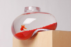 platea:  Bubble Tank by Psalt Design Fish tanks and aquariums