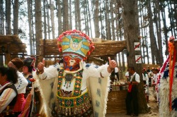 balkansboy:  BALKAN KINGS /KUKERI/