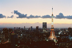 kudou-kun:  TOKYO TOWER. by (kayoooo_o)