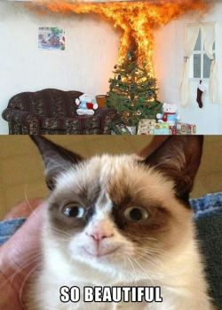 rage-comics-base:  Happy Grumpy Cat has a Merry Christmashttp://rage-comics-base.tumblr.com