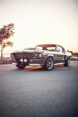 classyhustler:  Shelby GT500E Eleanor  via Giannis