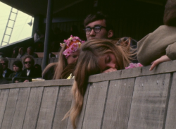 skygrl: Monterey Pop Festival, 1967. ”If you’re going to