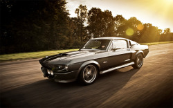 wondert0nes:  mustang shelby on the road 