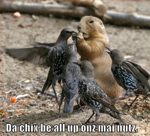 Dat boy be talkin’ jive