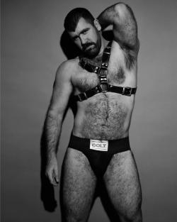  My two hairy men blogs: http://sambrcln.tumblr.com/archive http://hairysex.tumblr.com/archive