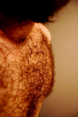 tjokke-blog:Closeup of my chesthair. It’s curly.Like the rest