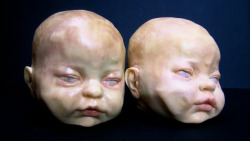 swamp-thing:  Life-sized chocolate baby heads are this season’s