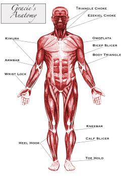 liverpunch:  mmafanmade:   ‘Gracie’s Anatomy’ “Art my