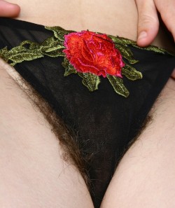 lovesithairy:  hrpant1206   I love hairy panties